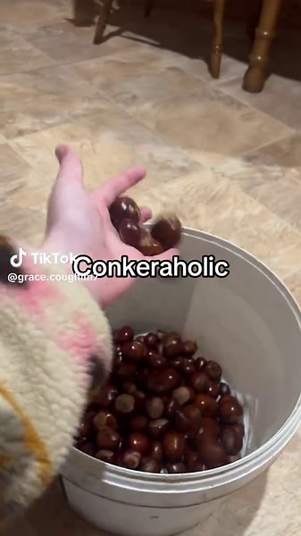 Conkeraholic: The Ultimate Guide to Conkers