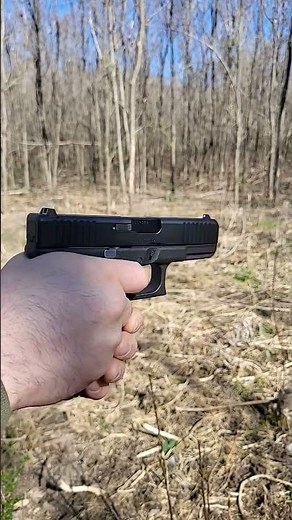 Glock 19 9mm vs Wood - Will it go through?