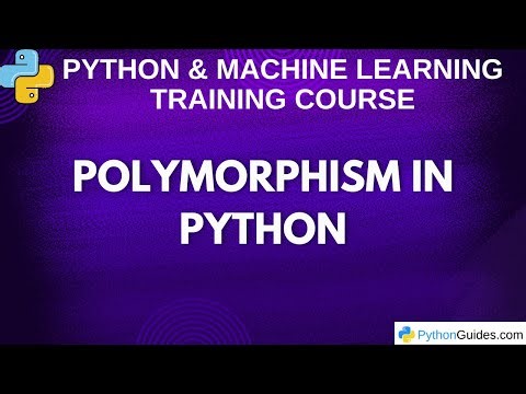 Polymorphism in Python | Python Tutorials for Beginners