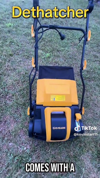 Essential Guide to Using a Dethatcher for Lawn Care