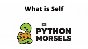 Python's self