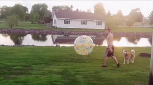 Proof our lives would have a lot less laughs without man's best friend! Find more reasons to laugh with AFV's new episode this Sunday at 7/6c on ABC. | America's Funniest Home Videos