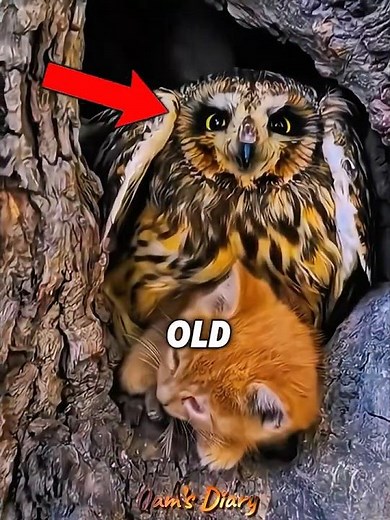 Man save Two little kittens🐱😍#shorts