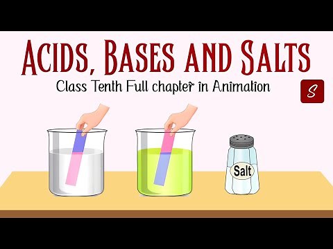 Acids, Bases and Salts Class 10 Full Chapter (Animation) | Class 10 Science Chapter 2 | CBSE | NCERT