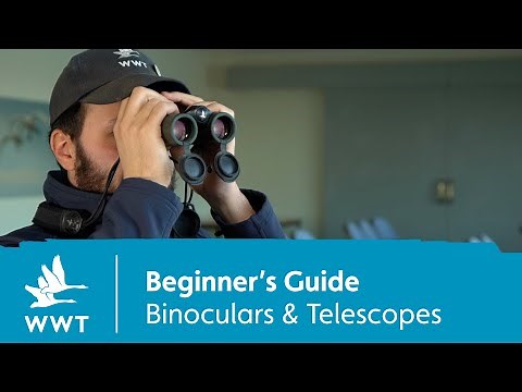 Birdwatching - a beginner's guide to binoculars and telescopes | WWT