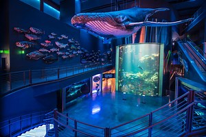 Wonders of Wildlife: Take a Journey Around the World | Springfield Missouri