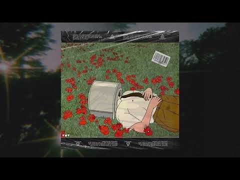 Indie Folk Type Beat [FREE] Sad Acoustic Guitar Instrumental "Laying" ☼