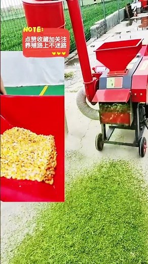 Corn maize stalk silage chopper cutter machine prices #fcnfm #farmmachine