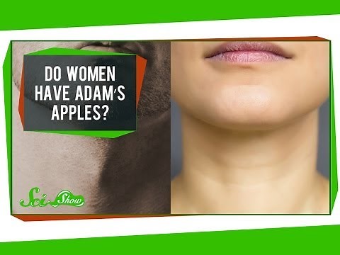 Do Women Have Adam's Apples?