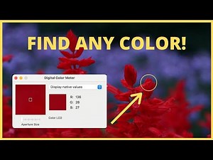 How to find the Color Code of anything RGB