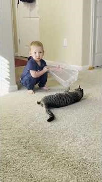 Toddler Brings His Very Own Kitten Home From The Shelter | The Dodo