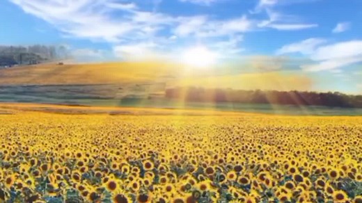 345K views · 11K reactions | AMAZING GRACE (Songwriter: John Newton...