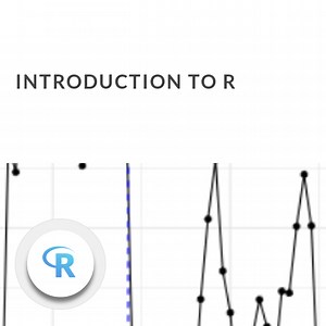 Learn about fundamental data types, logic, and how to create your own functions using the R language. | DataCamp