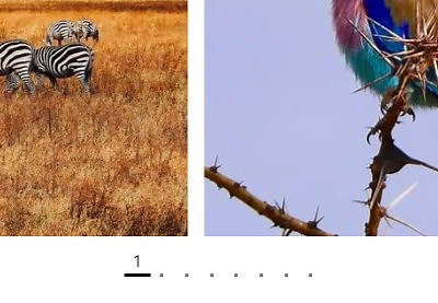 How to Build a Responsive Slider With Swiper.js | Envato Tuts