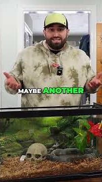 Ball Python Growth: Tank Size Guide