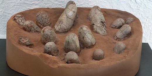 Dinosaur Eggs | American Museum of Natural History