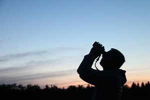 Stargazing Basics for Complete Beginners