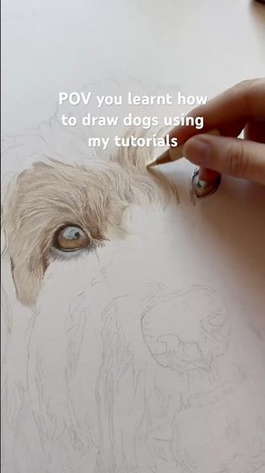 Coloured pencil tutorials - how to draw a cockapoo ✍🏼 #colouredpencildrawing #dogdrawing