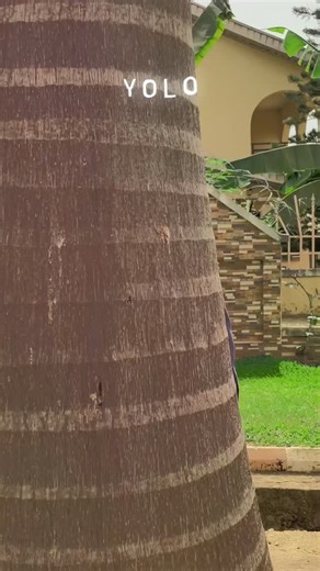 To be honest, I already tapped into 2026 sometimes around November ‘25. Why? Cus I been speaking to GOD and he said just keep going I’m with you. YOLO 🎼 & 🎥 link in bio. | Alien Lamba