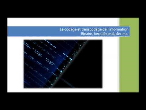 Le codage numerique