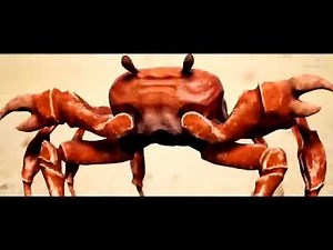 Crab rave (10 Hours loop)