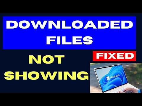 Downloaded Files Not Showing on Windows 11 / 10 Fixed