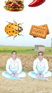 214K views · 816 reactions | Eating parlg g biscuits, burger, lolipop, icereram vs bee, insects, chilli, eggs to jocker, alien  #saheb5star #video #trending #funny | Saheb5star | Facebook