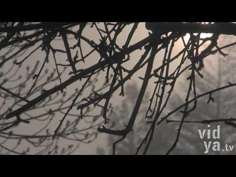 8 Minutes to Calm :: A Guided Relaxation