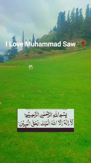 Beautiful scenery❤ #fblifestyle | Kashmir Valley