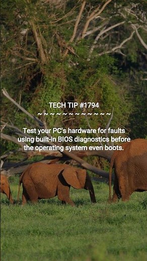 Secret PC Diagnostic Trick | 2025-12-22 | #Shorts #TechTips #codinghacks #cybersecuritytips #dotKey