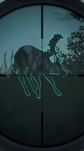 I Flushed Out a HUGE Piebald Deer 🦌🔫 | theHunter: Call of the Wild