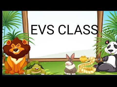 Animals Around Us ll EVS ll Class 1 ll NCERT/ Wild, Domestic, Water Animals