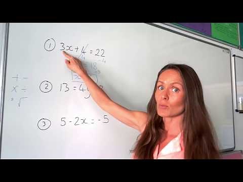 The Maths Prof: Solving Linear Equations (part 1)
