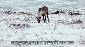 2.8K views · 11 reactions | Sponsored by the Diamond Producers Association (DPA), Total Clarity examines and uncovers the benefits and impacts of modern diamond mining. Through this analysis, the world’s seven leading diamond producers shed light on the benefit and impacts our companies make on our workforces, communities, and environment. Visit www.totalclarity.naturaldiamonds.com for more information.  | Diamonds Do Good | Facebook