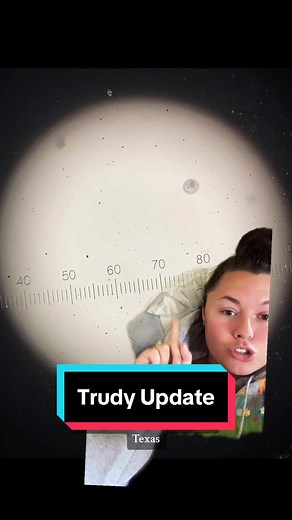 Trudy: The Ultimate Broodmare Expert