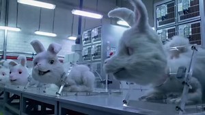 75K views · 3.3K reactions | Chandan Mohapatra ji ne Save Ralph film ki bahut badiya Hindi dubbing ki hai! Iss video mein humein Ralph, jo animal testing ka shikaar hai, uski dukhad zindagi ke baare mein pata chalta hai. #animalcruelty #animaltesting #animalcrueltyawareness | Peepal Farm | Facebook