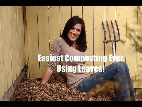 The Easiest Composting Ever - Using Leaves!