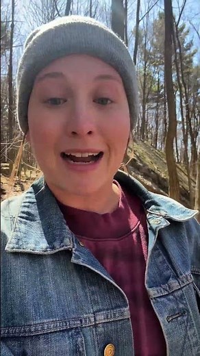 What Are GMOs and Are they Harmful?