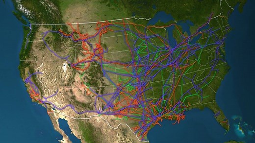 791 reactions · 659 shares | Animated map shows all the major oil and gas pipelines in the US. | Business Insider | Facebook