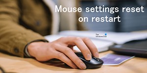 Mouse Settings or Properties reset on restart [Fixed]