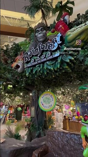 Rainforest Cafe at Grapevine Mills brings the jungle to your table!🌴🐒