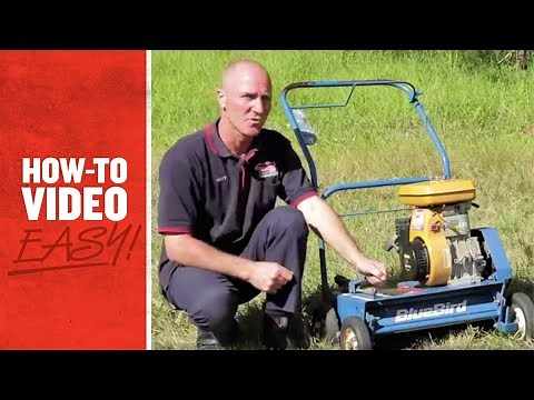 How to Dethatch Your Lawn