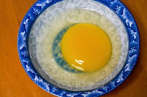 How Do You Cook Goose Eggs? — Farm & Animals