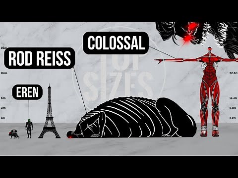 Attack On Titan Size Comparison 2023 | Ymir Fritz, Levi Ackerman, Eren Yeager