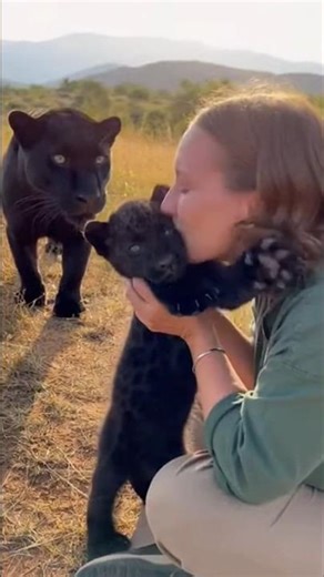 The Most Trusting Wild Animals You’ve Ever Seen 🥺 #shorts