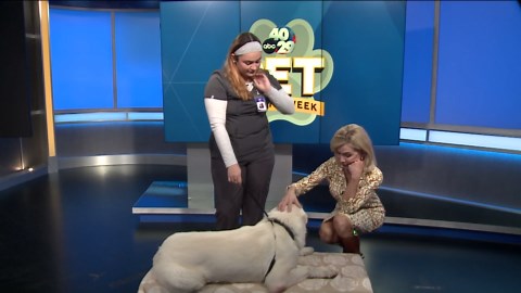 Pet of the Week: Polar Bear