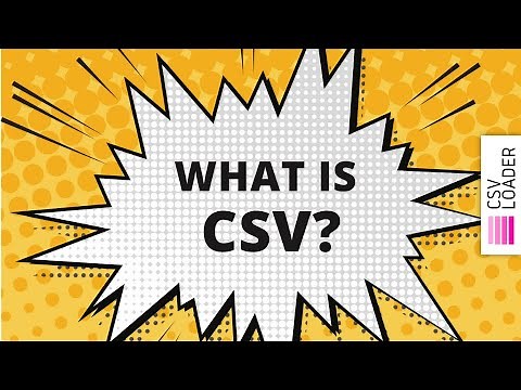 What is CSV?