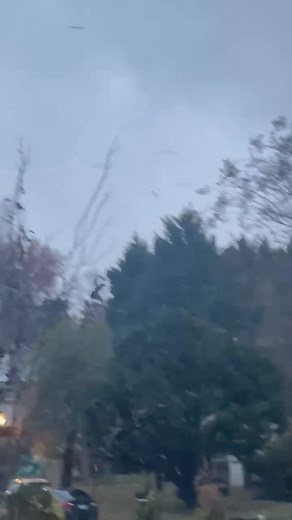 Armando Hernandez on Reels | Facebook