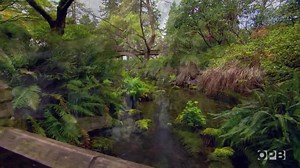 Nature Break: A tour of the Rhododendron Garden in SE Portland, shot and edited by Nick Fisher. | Oregon Field Guide