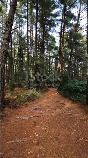 istockphoto 1392139559 640 adpp is